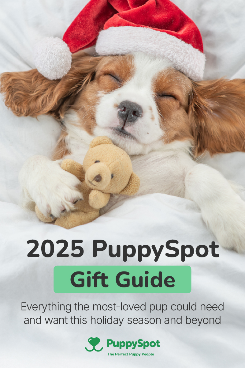 Puppy Spot
